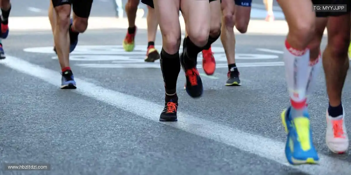 数据与激情同频，专业共欢乐一色！📊🎉 用科技解锁体育新视角！